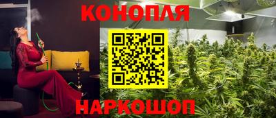 крисы Вязники