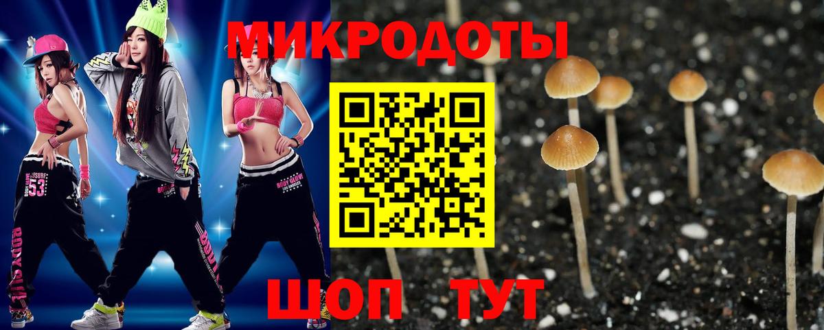 Галлюциногенные грибы MAGIC MUSHROOMS Ноябрьск