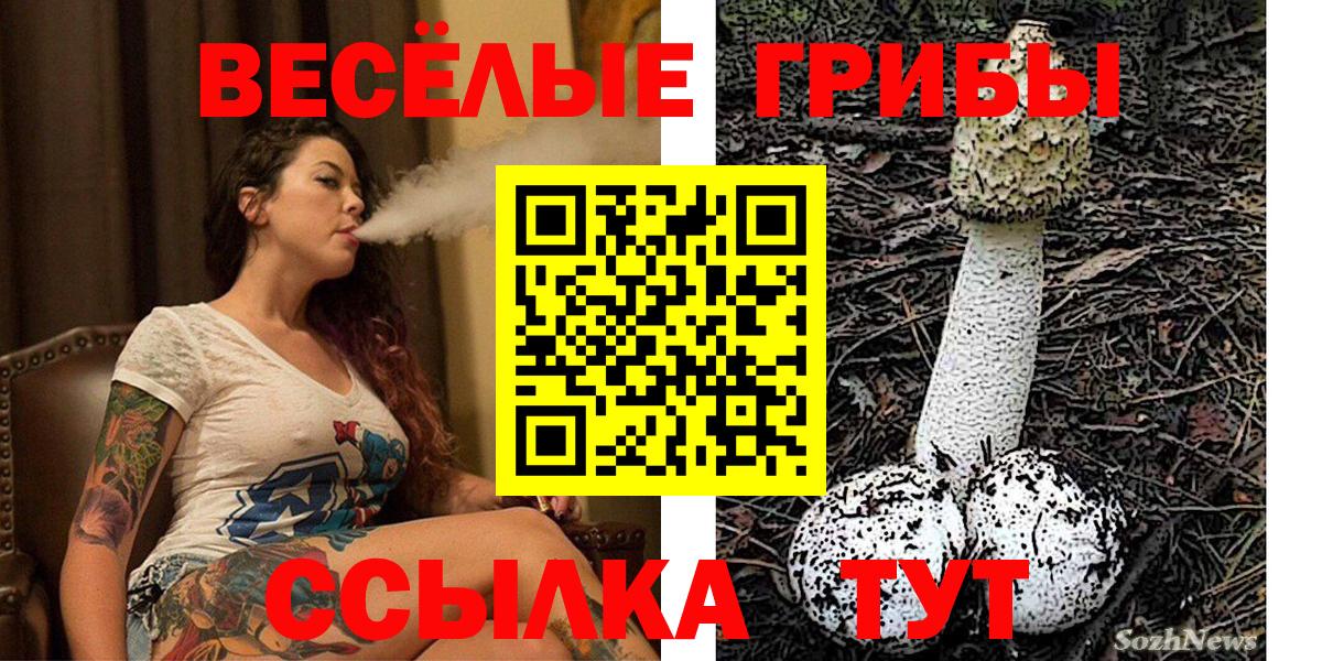 Псилоцибиновые грибы мухоморы  Вход с VPN  цены наркотик  Ноябрьск 